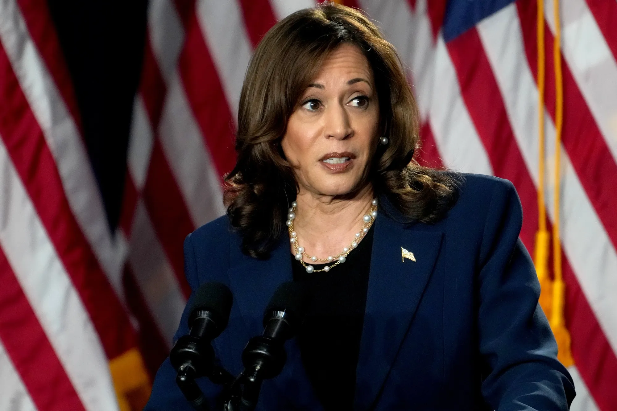 Kamala Harris Accused of Plagiarism in 2009 Book on Policing