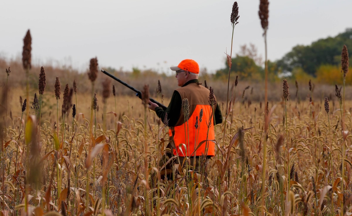 Tim Walz Mocked on Social Media After Struggling to Load Shotgun During Pheasant Hunt