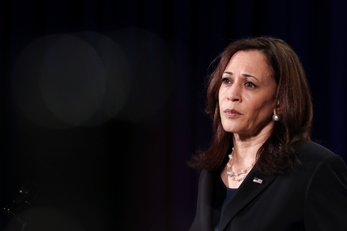 Harris’s Radical Agenda Fails to Resonate and Results in Epic Failure