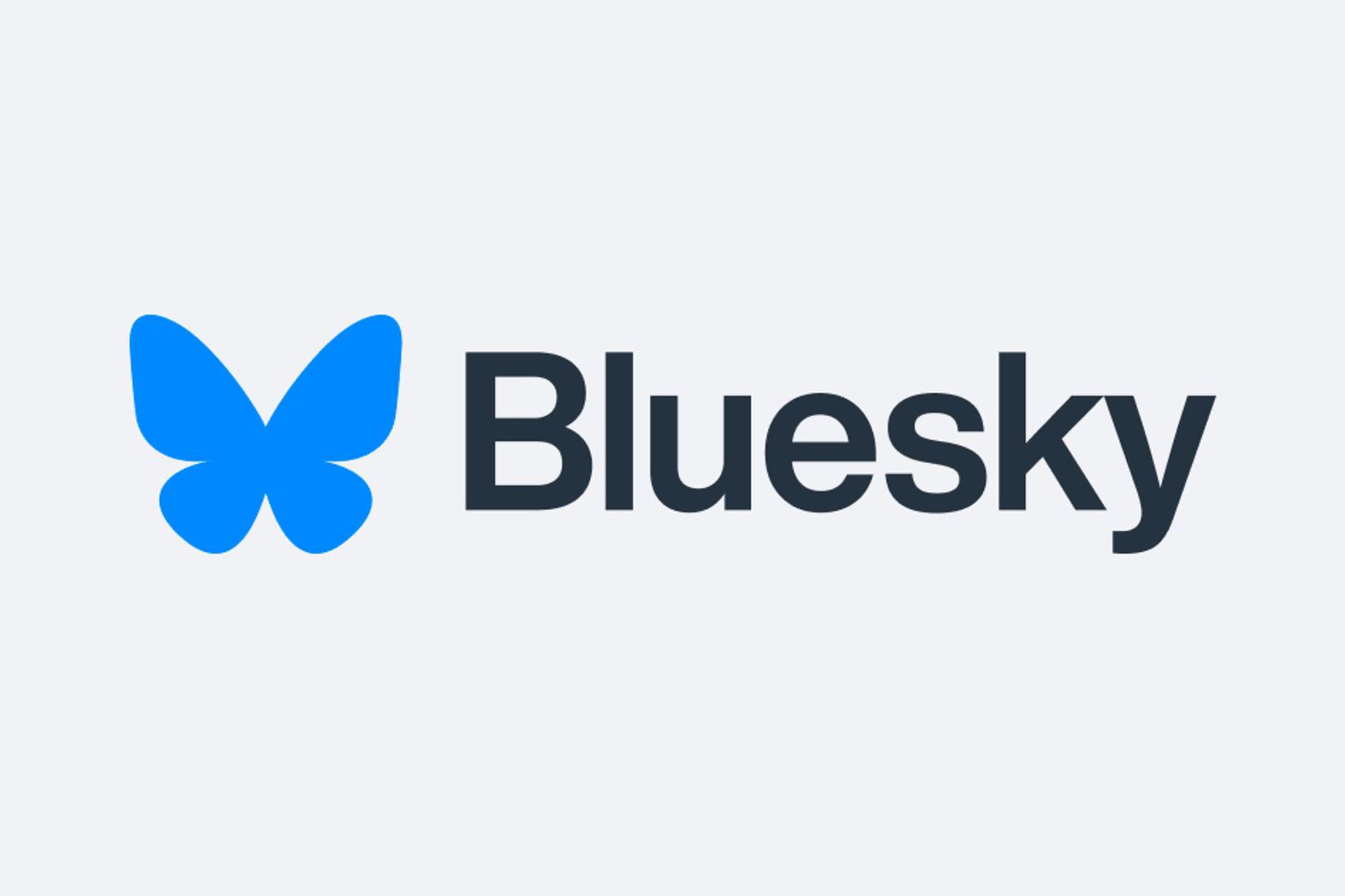 Bluesky Faces Growing Pains as Liberals Look to Recreate a Left-Wing Social Media Echo Chamber