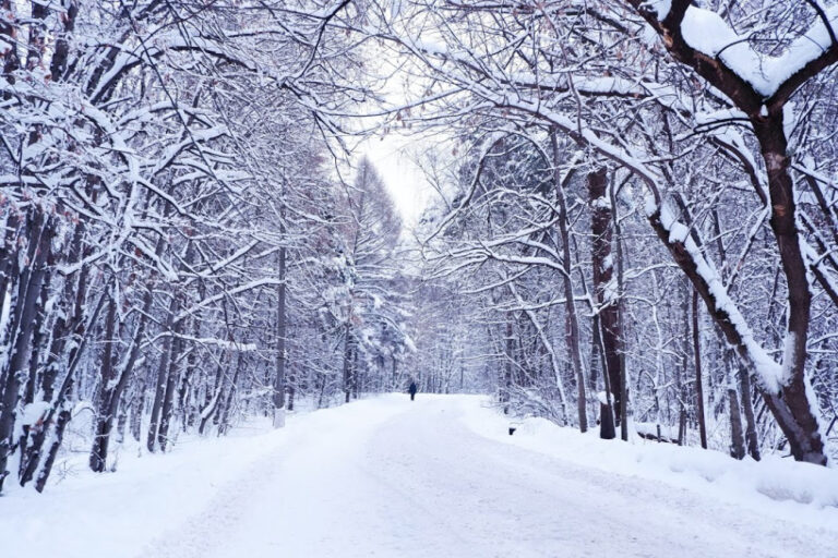 Bitter Cold Sweeps Across Central and Eastern U.S. Amid Winter Weather Alert